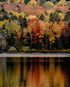 Ritual de Otoño – Connect